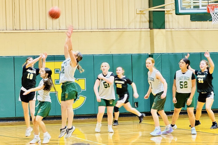 Junior High Lady Bucs