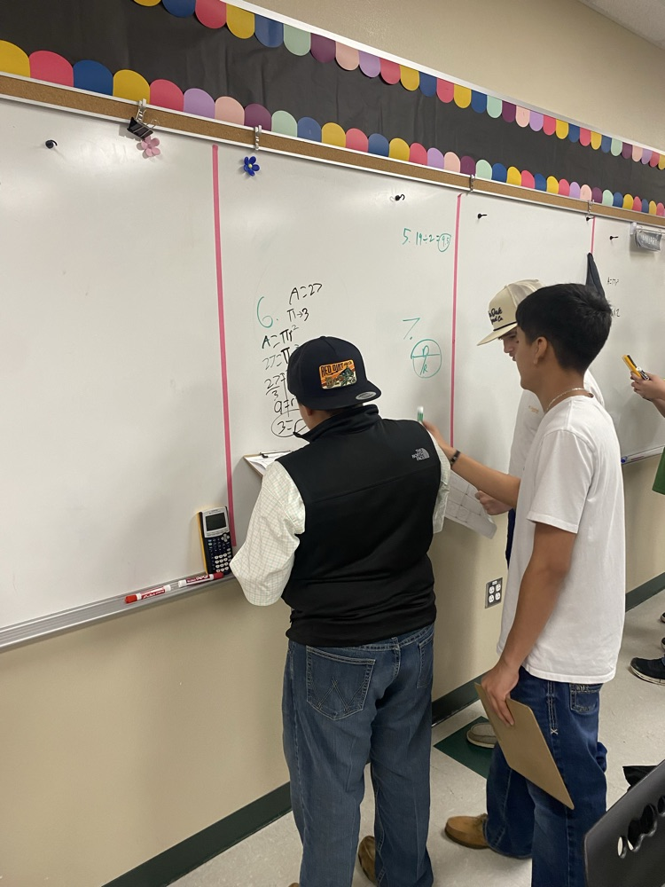 Mrs. Savoies Math Class