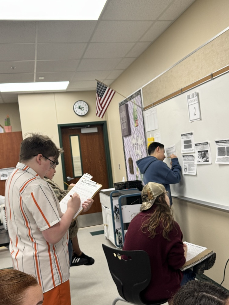 Group work at stations! 