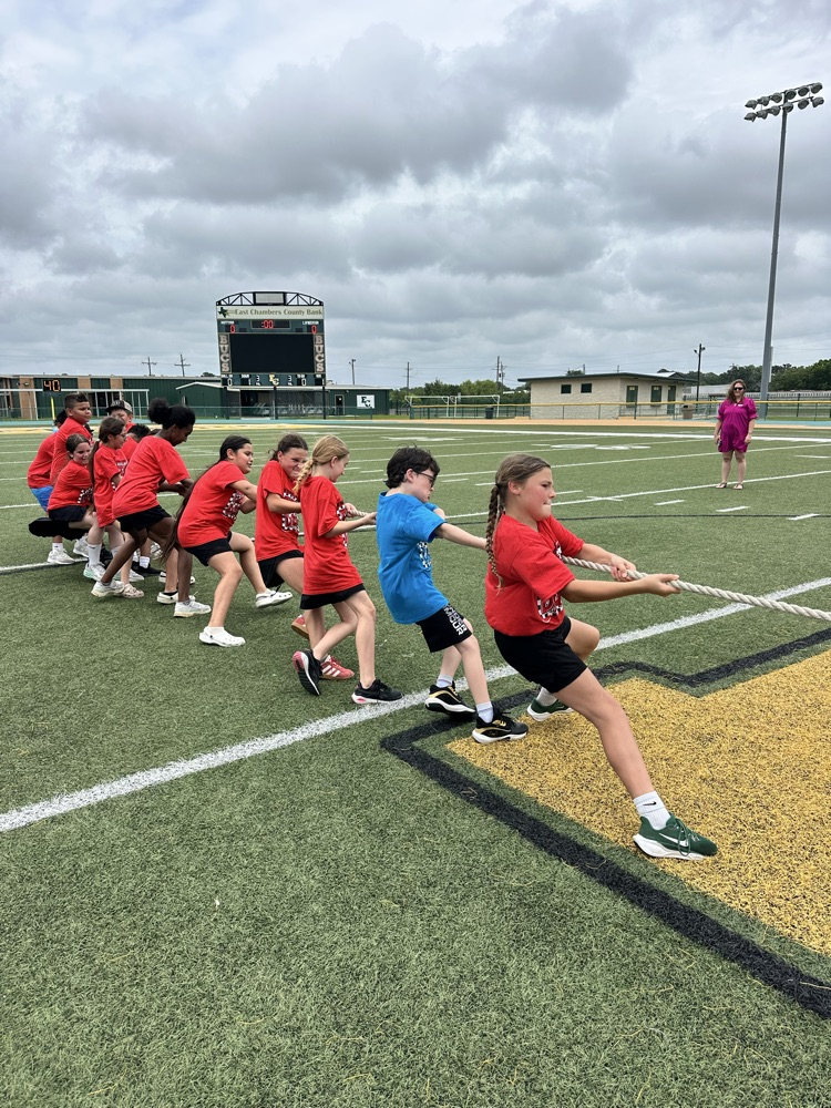 field day 