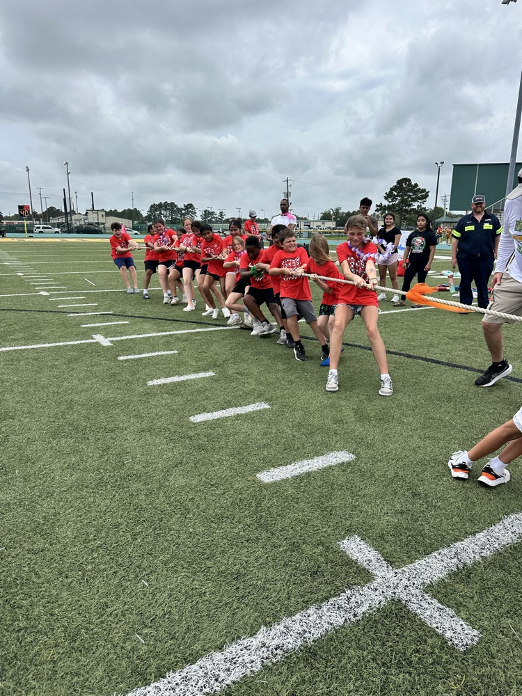 field day 