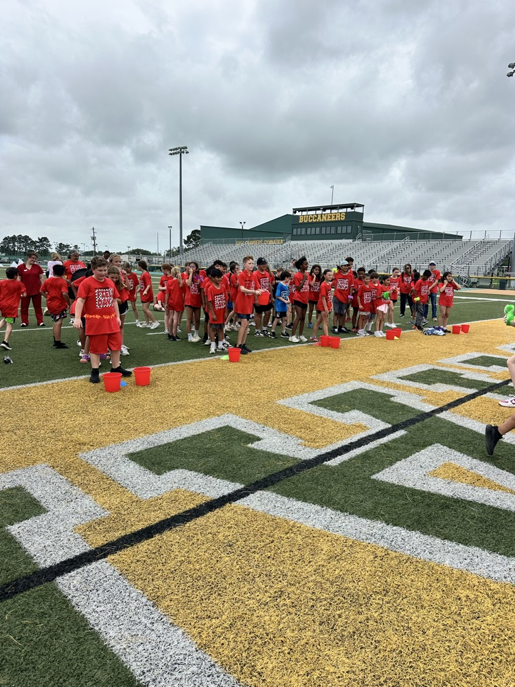field day 