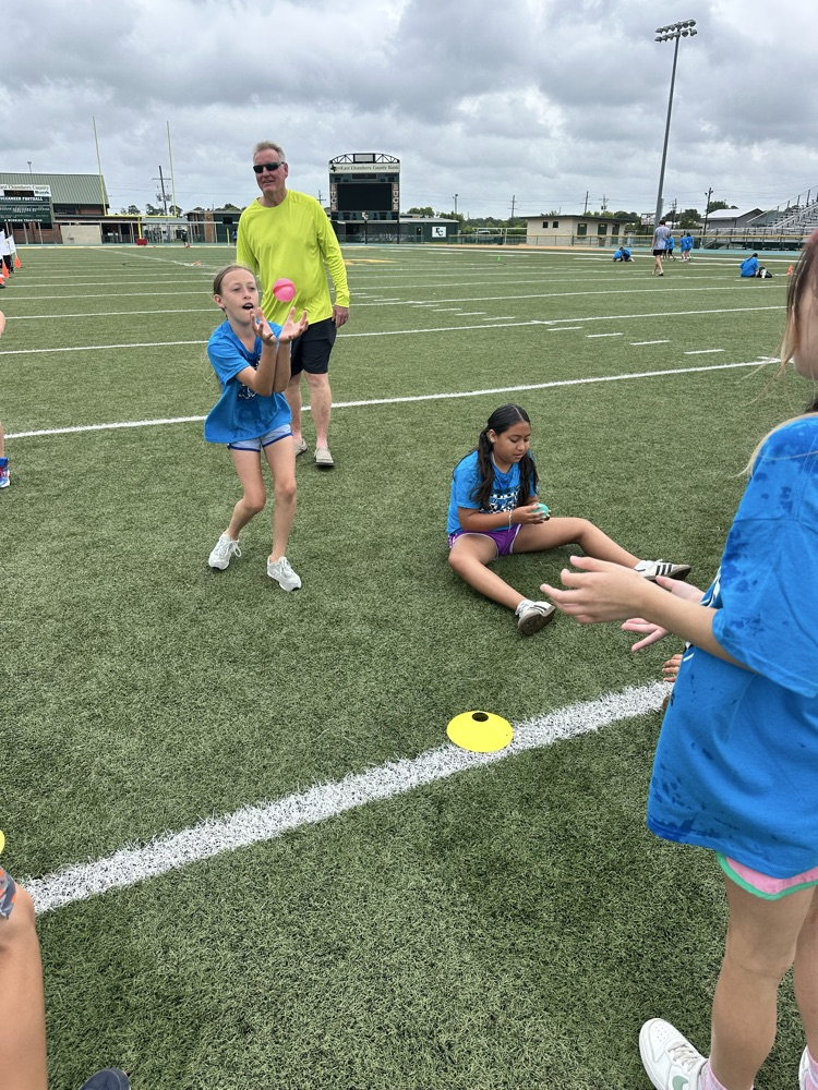 field day