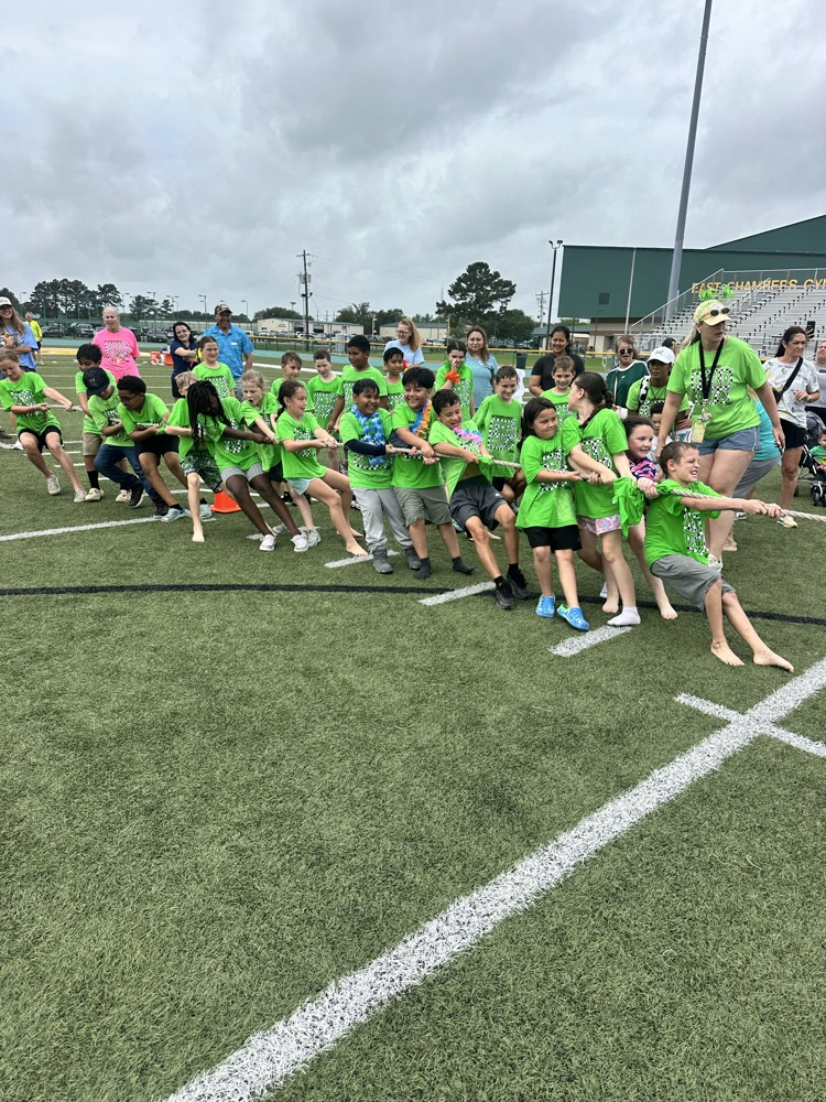 field day 