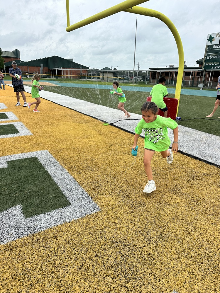 field day