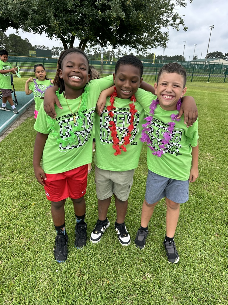 field day