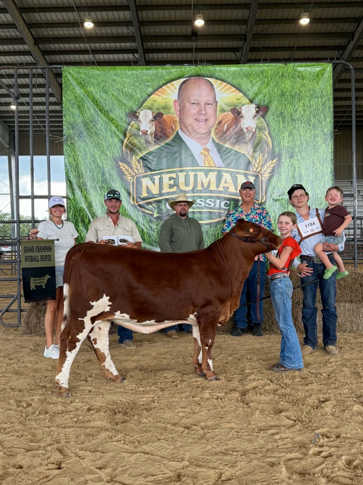 Hadley Turner Newman classic