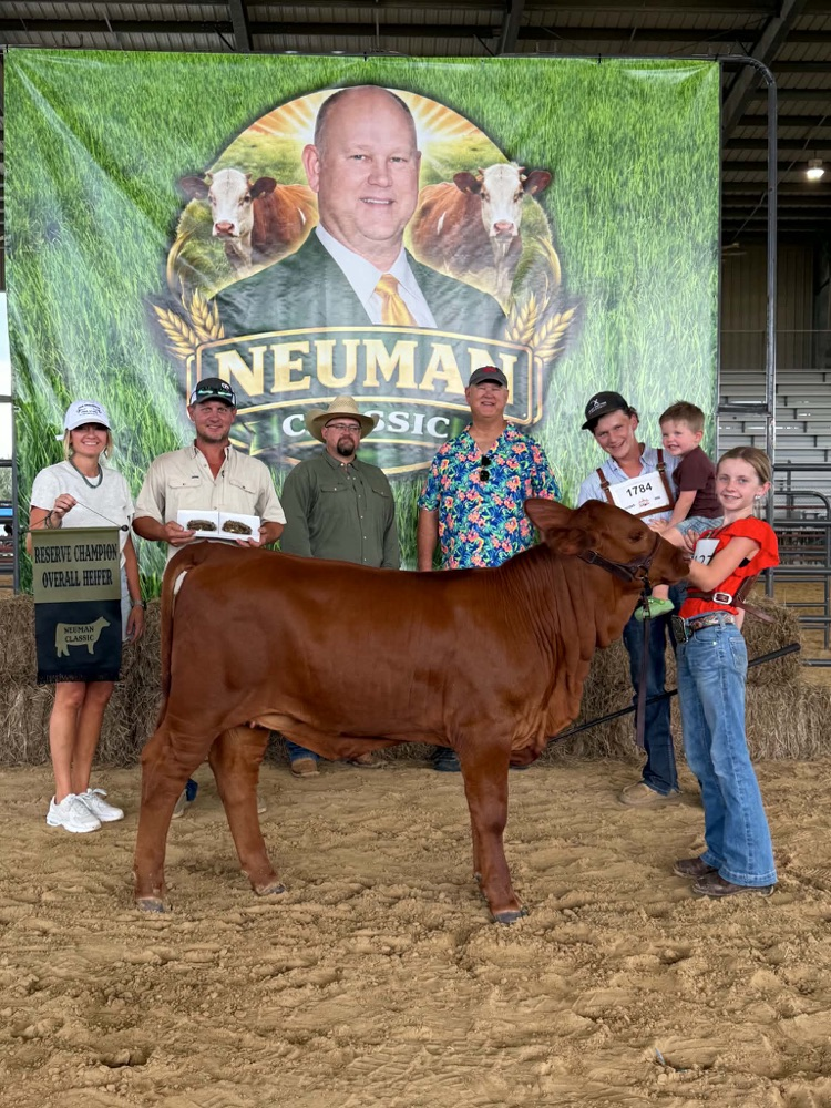 Hadley Turner Newman classic