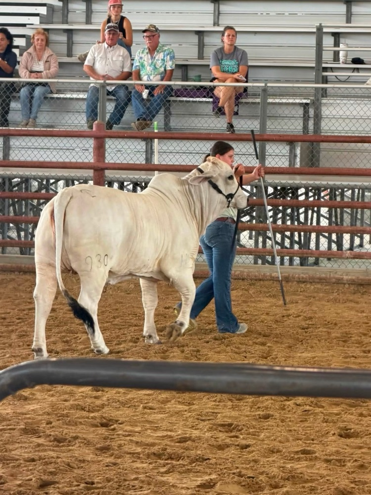 Jenna Fitzgerald Newman classic