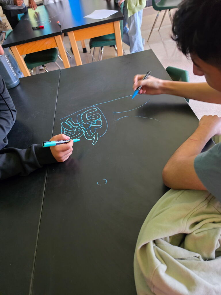 Two individuals draw on a black table using blue markers. One person draws a maze while the other adds details.