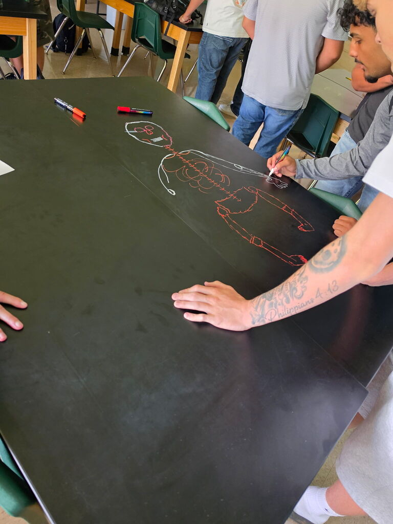 A group of people are gathered around a table. One person draws a human skeleton with markers.