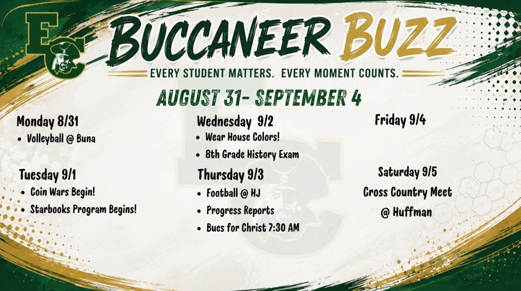 Buc Buzz 