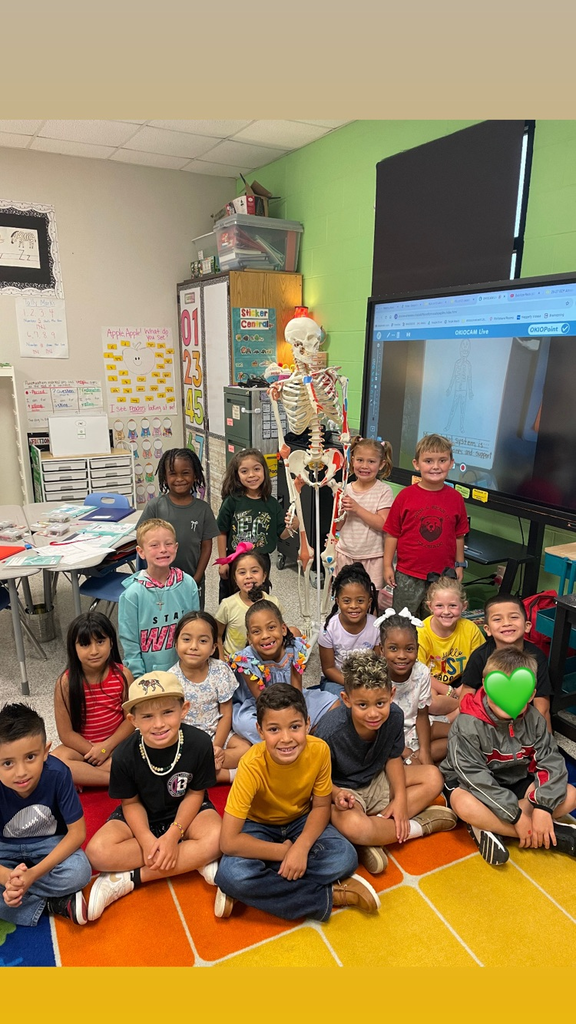 A classroom with green and white walls. Children sit on the floor with a skeleton model. A television screen is mounted on the wall behind the children.