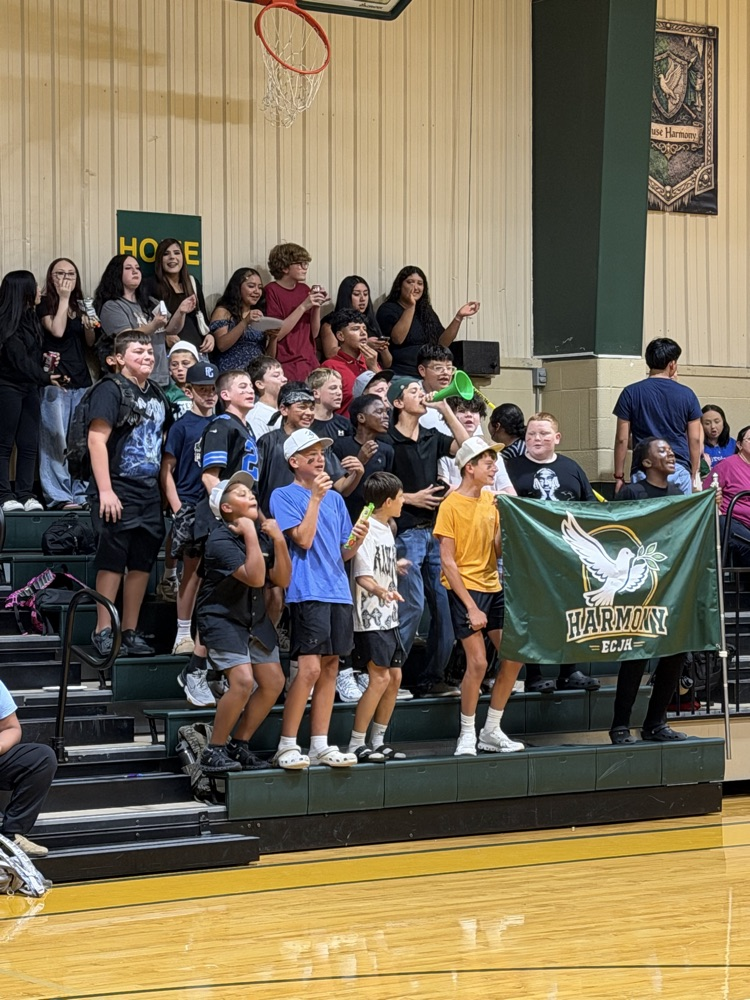 student section volleyball game