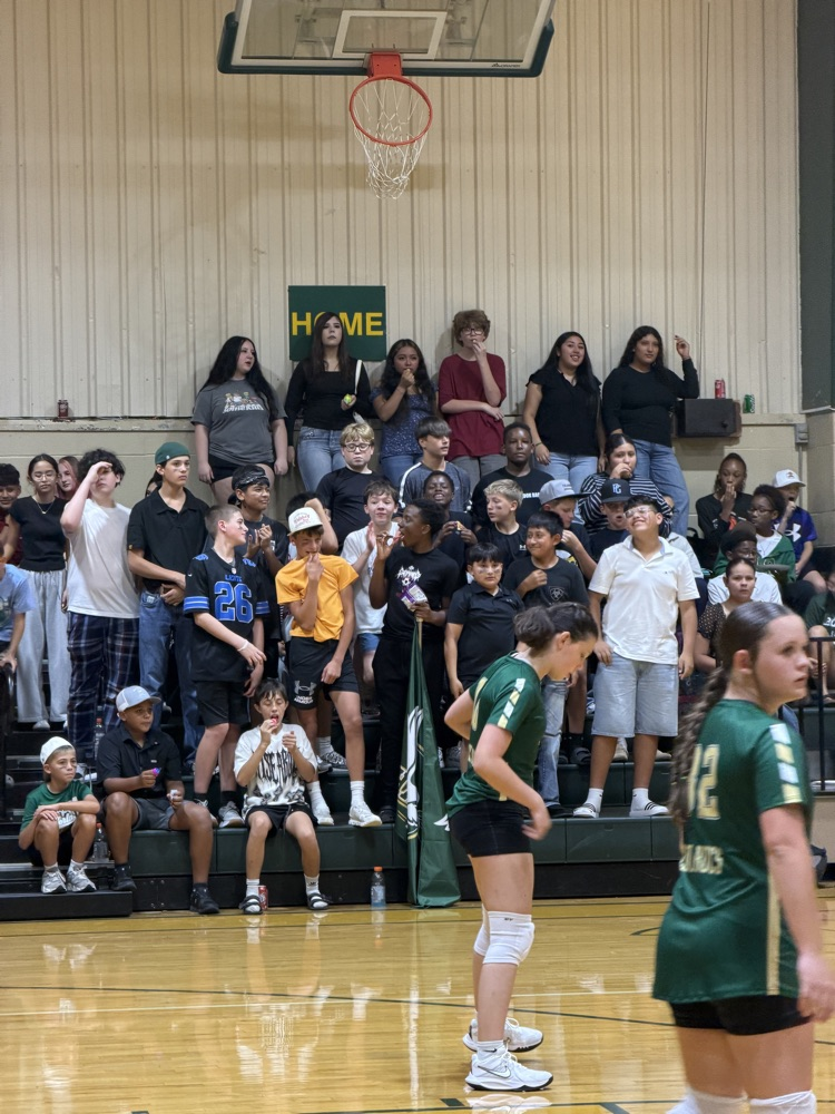student section volleyball game