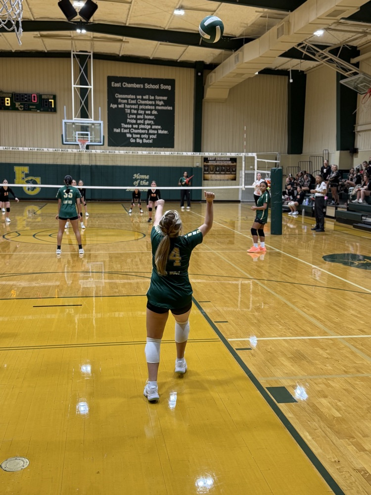 volleyball game against Warren