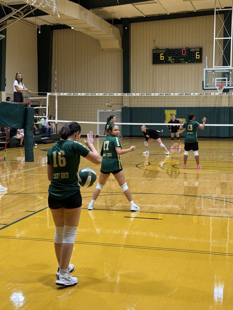 volleyball game against Warren