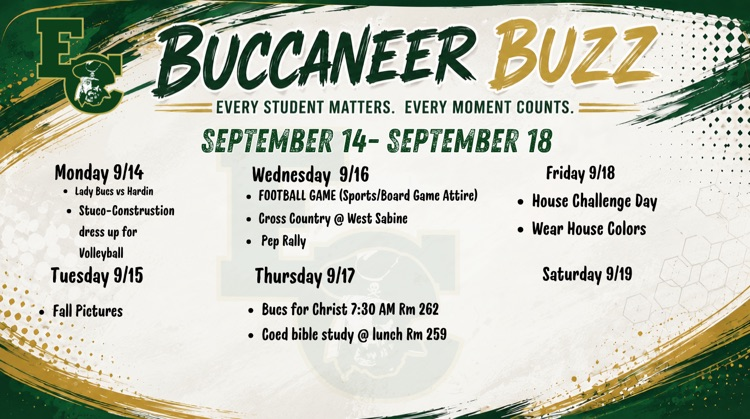 Buc Buzz 
