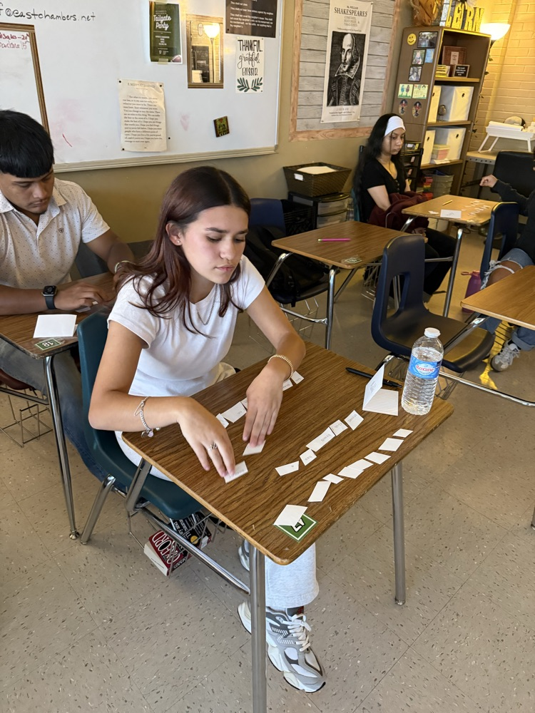 Mrs. Furguson’s 6th period working on a Sentence Scramble activity today!!