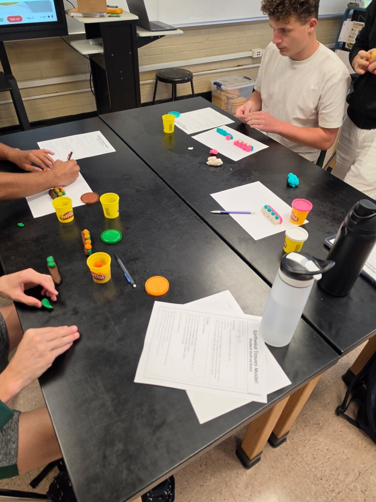 students using modeling clay 
