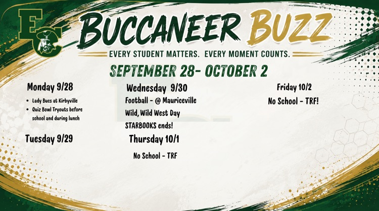 buc buzz