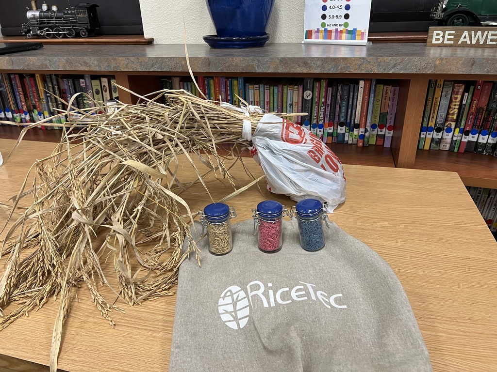 Display of rice grains, a bag of rice, and a gray Ricelec towel on a wooden table. Behind it, a bookshelf full of books.