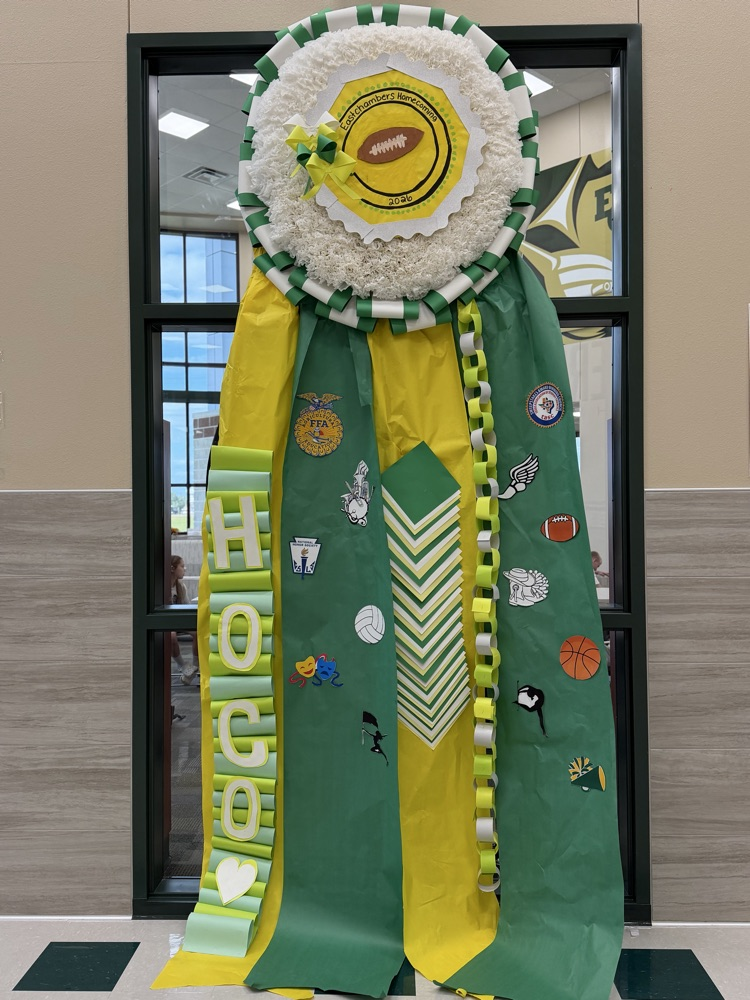 Display of green and yellow sash with badges and a football emblem in front of a glass door.