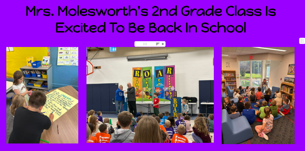 Molesworth 4