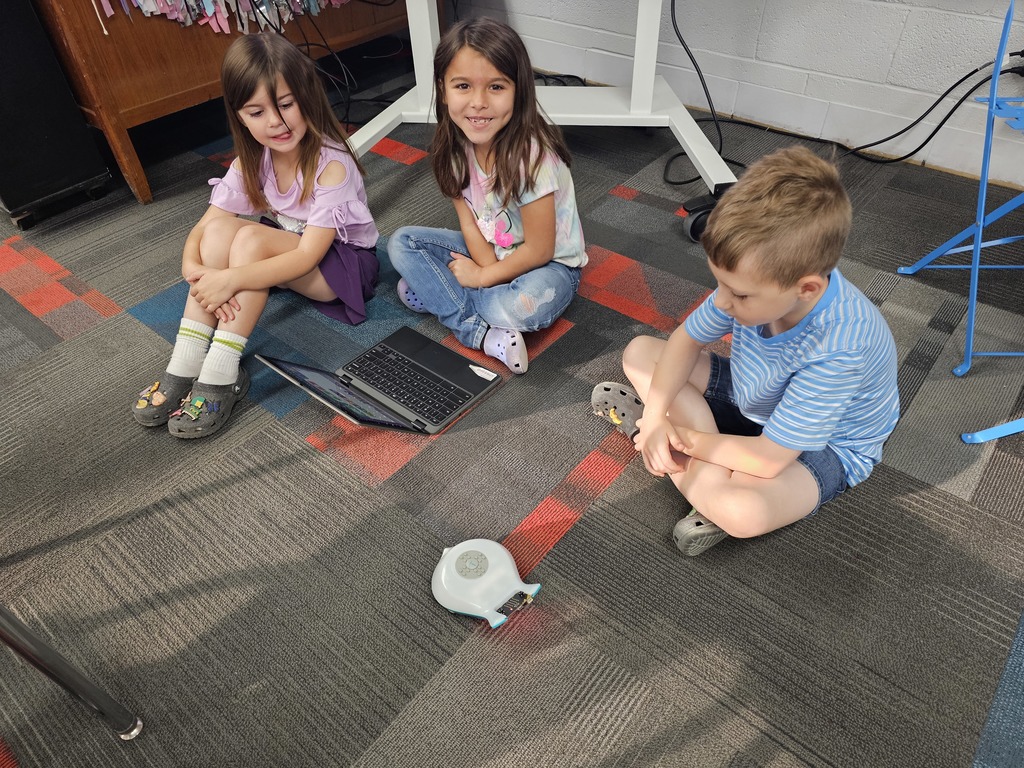 Students using the Finchbot