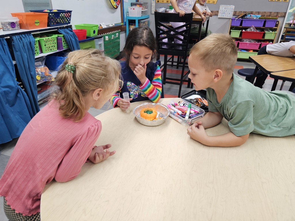 Three students watching their pumpkin bubble