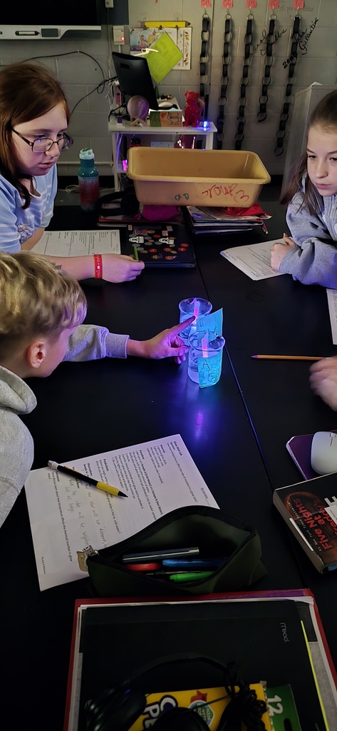Students looking at their glowing sticks