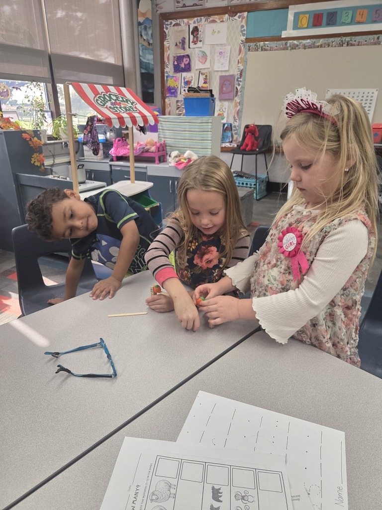 Group working on their gate