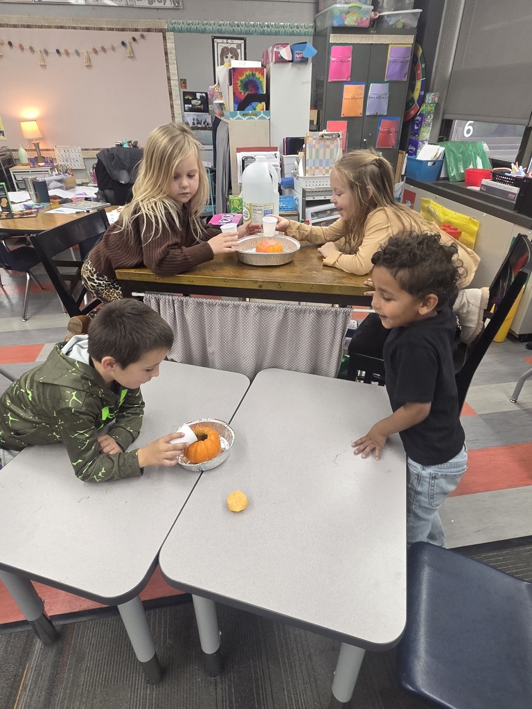 adding vinegar to their pumpkins