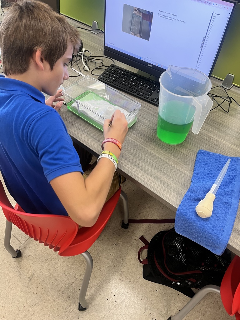 Student working on a science lab.