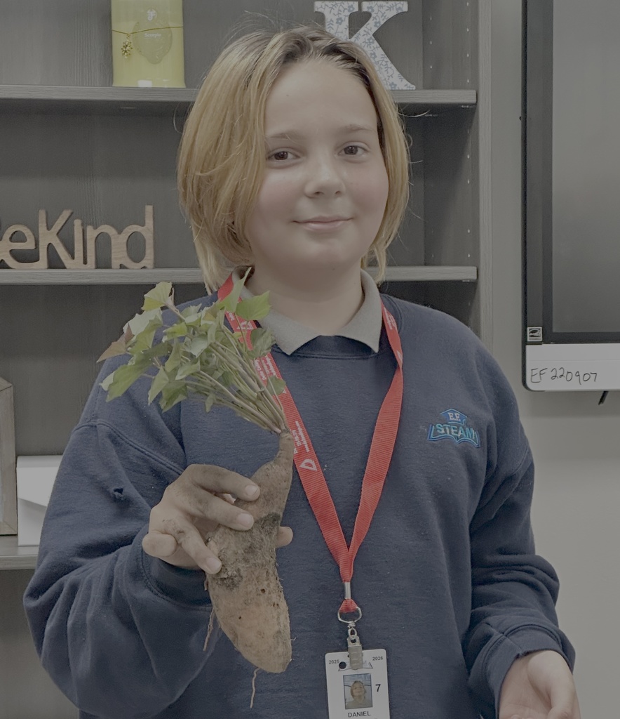 Student holding sweet potato