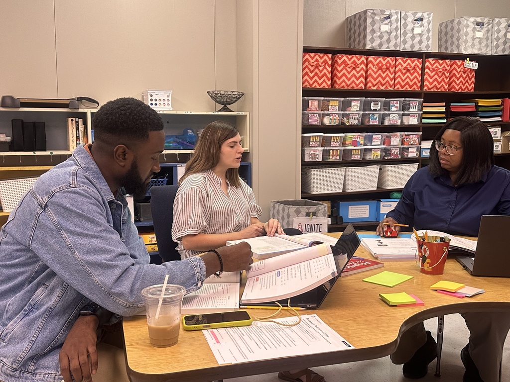 Teacher coaching teachers