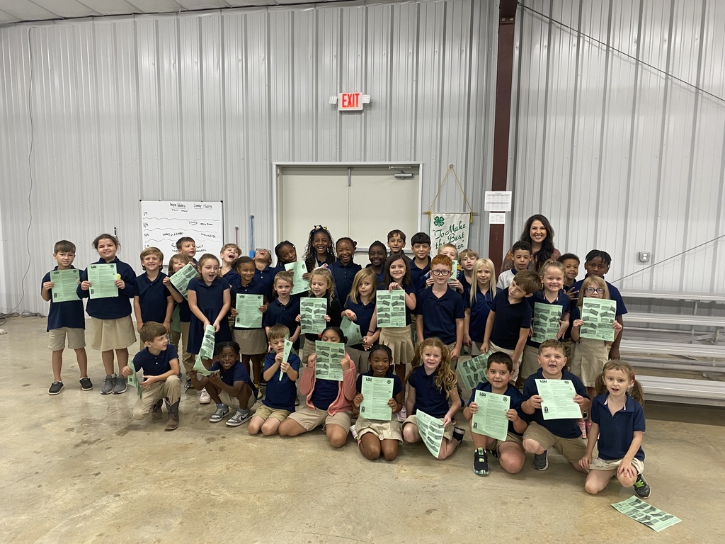 A group of cloverbuds participants