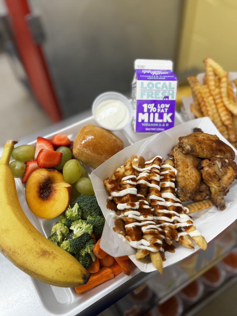 plain wings with drizzled fries