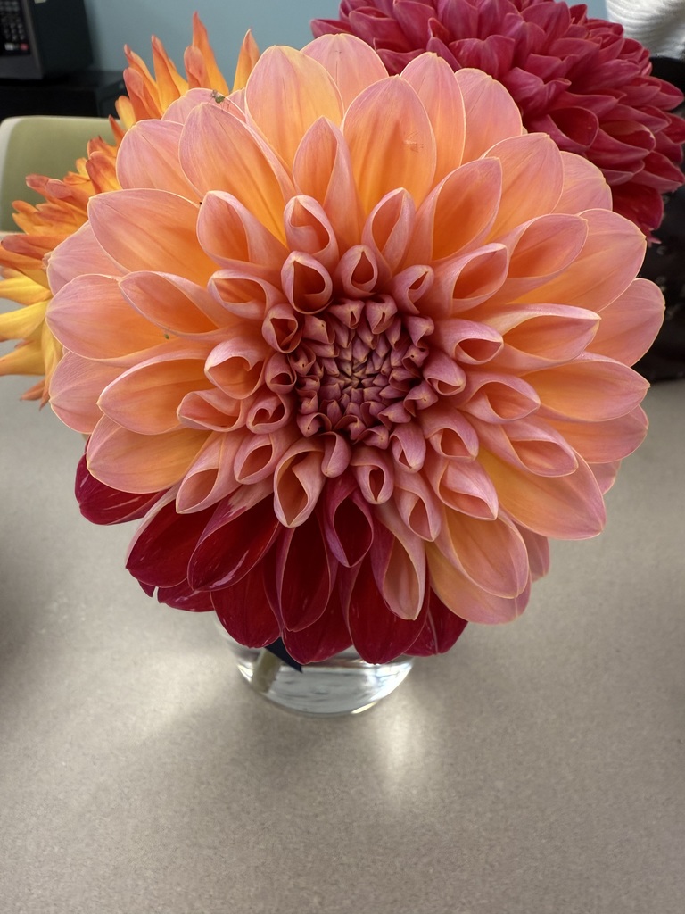 Mrs. Leifert grows some beautiful flowers in her garden!