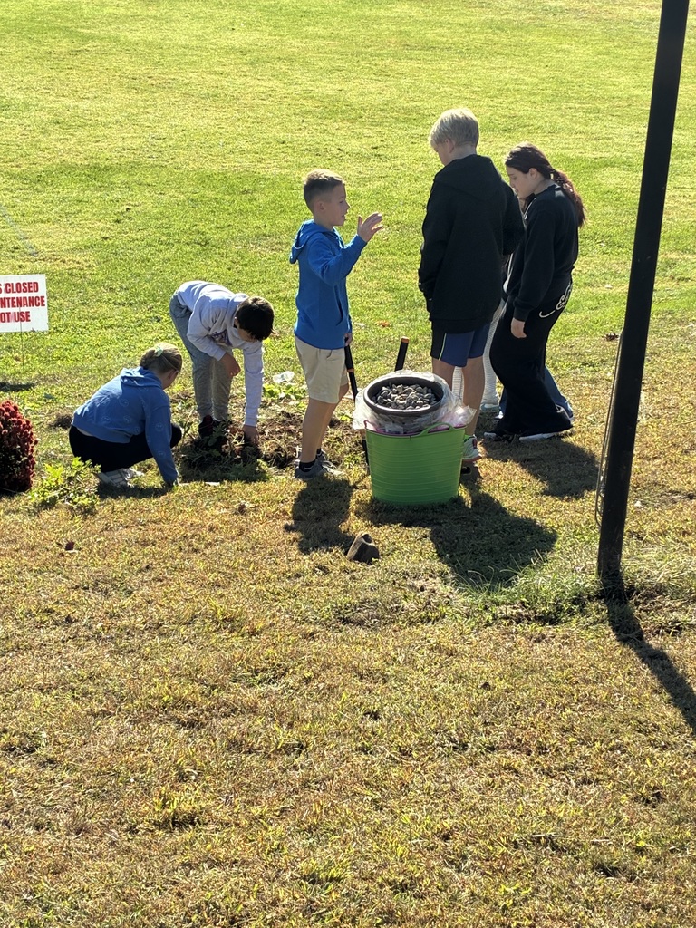 Ziff Service Project