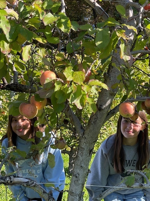 Grade 7 - Field Trip to Clark Farms