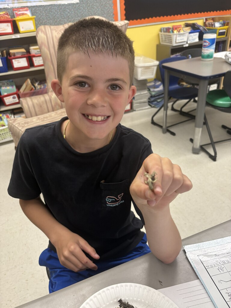 owl pellets