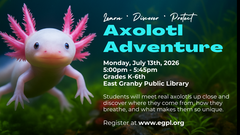 Axolotl Adventure