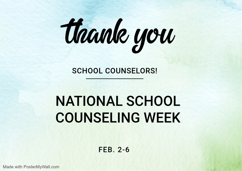 school counselors