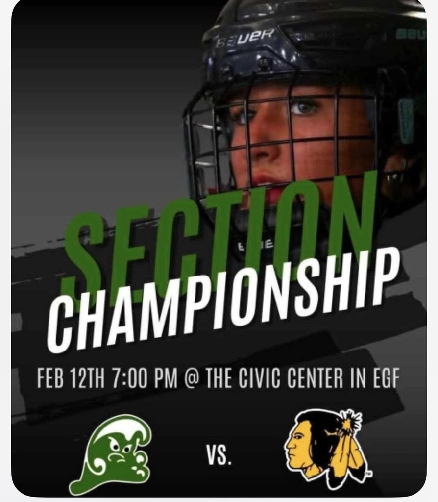 Section 8 Girls Hockey
