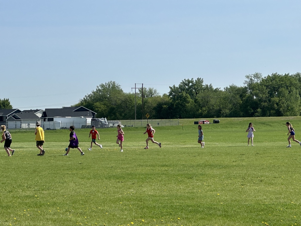 Field Day