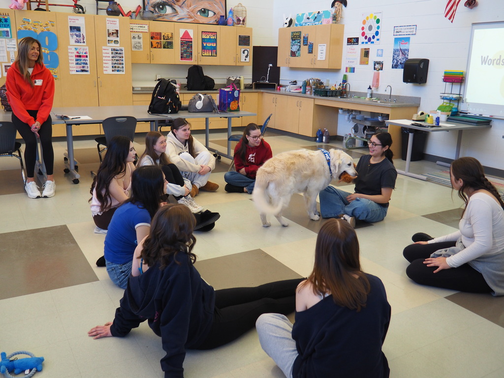 Wellness session with therapy dog