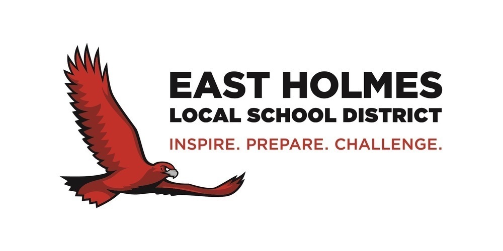 East Holmes Local School District Logo with Hawk