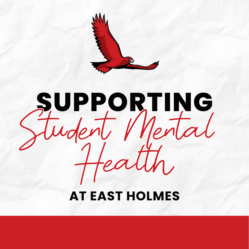 Supporting student mental health at East Holmes