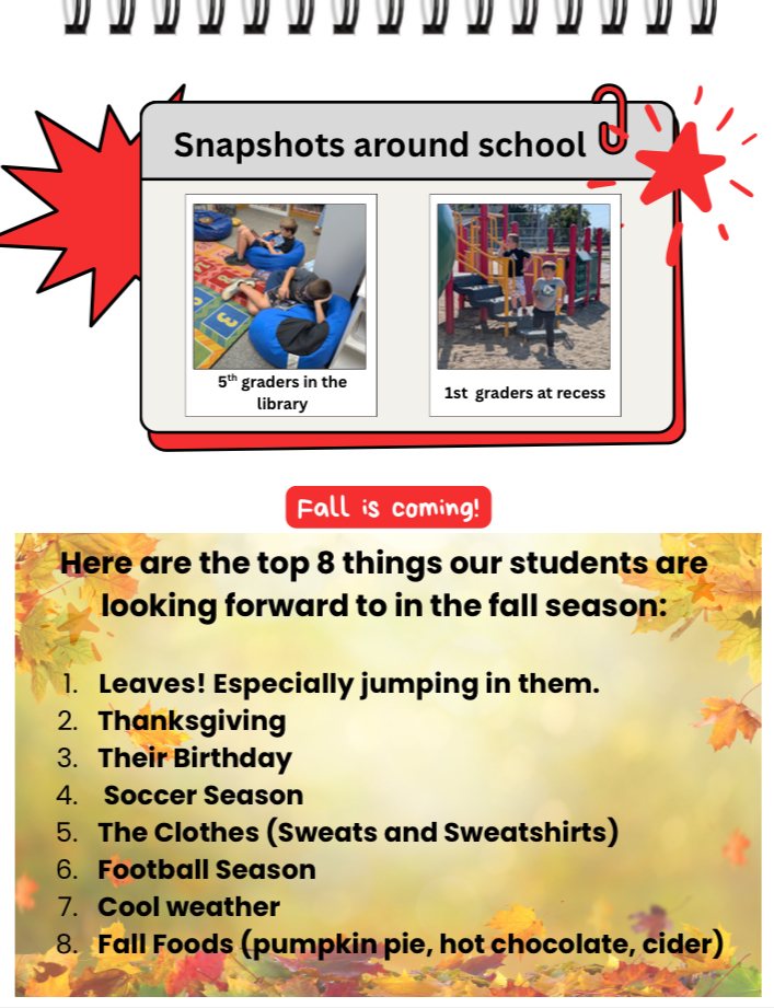 Newsletter #2